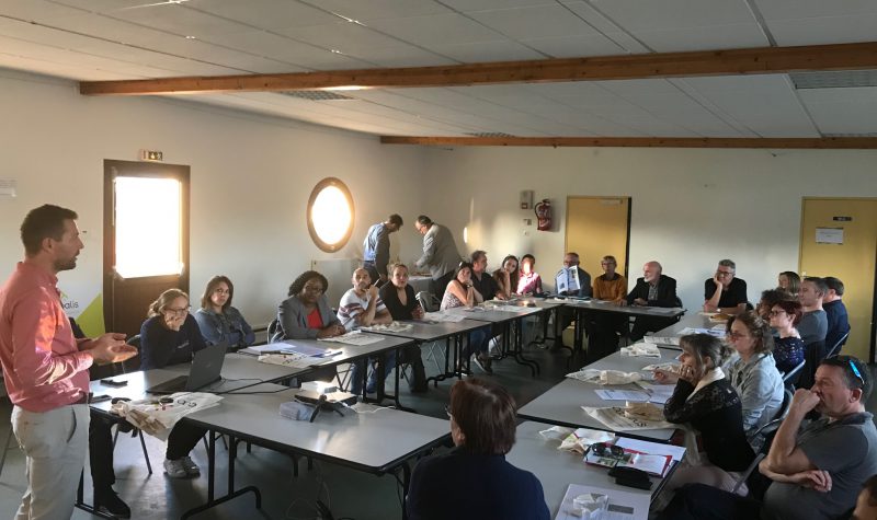 PHOTO REUNION INFORMATION LES AGAPANTHES